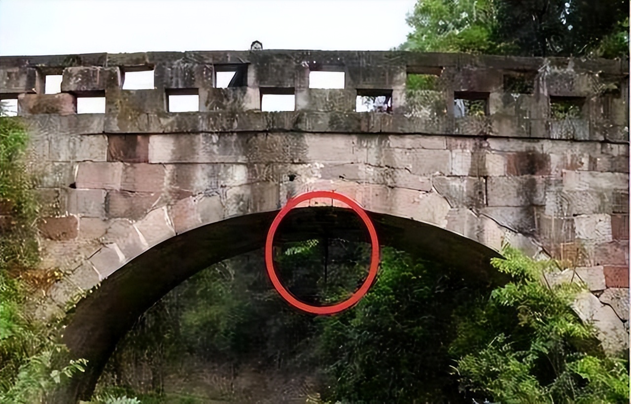 为什么有的蛇能活几百年,蛇真的能进化为蛟吗