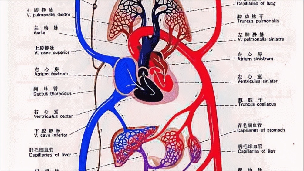 新生儿动脉导管未闭怎么治疗最好,新生儿动脉导管未闭怎么治