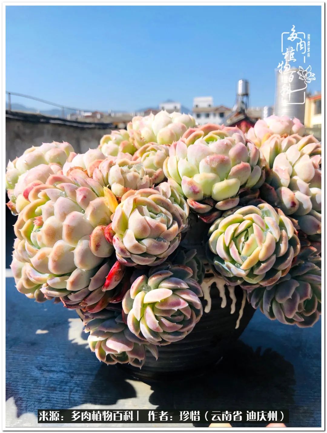 给生命一份淡然还岁月一份从容,给生命留一份洒脱的话