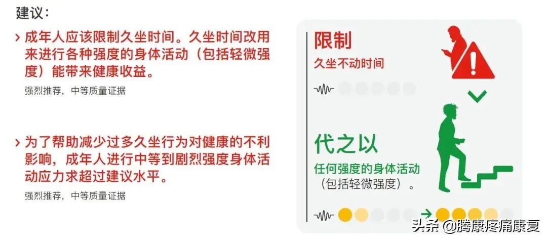 最新运动指南实锤,高效又轻松的运动指南