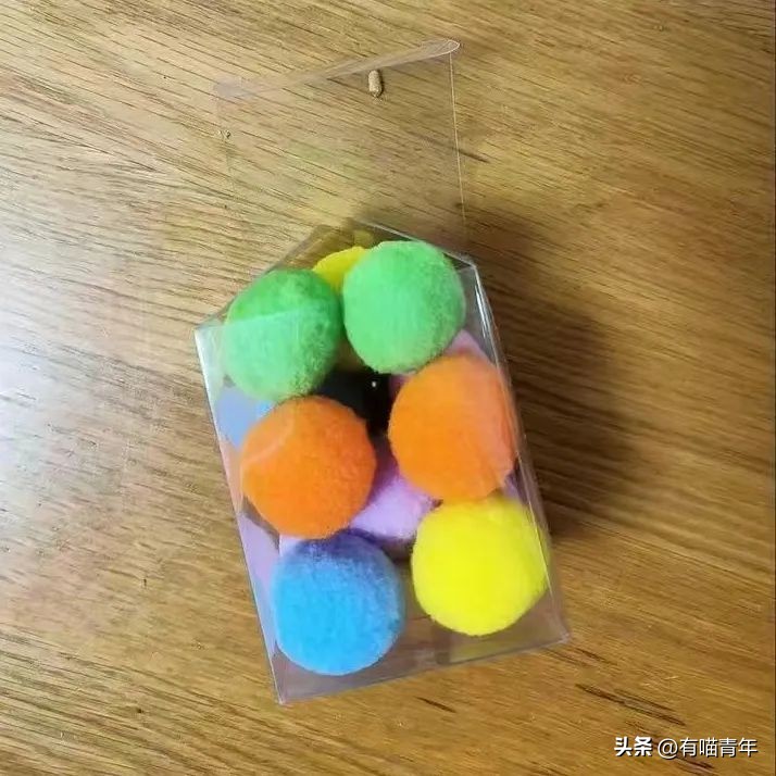 100件养猫好物,十元左右养猫好物分享