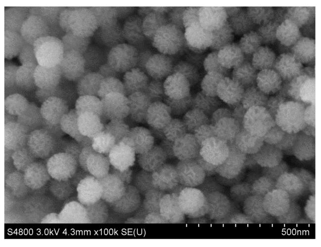 Nd含量对富硅二氧化硅薄膜结构和光致发光性能的影响