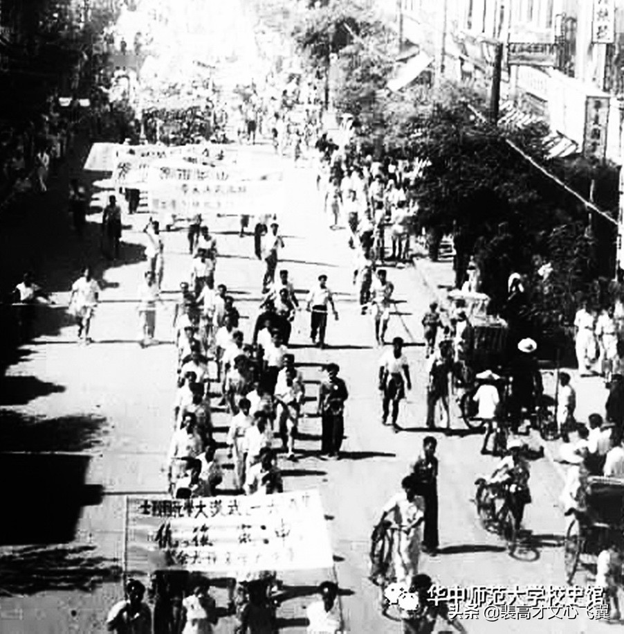 裴高才：中华大学教授蔡以忱走出书斋，第一次国共合作鼓风云