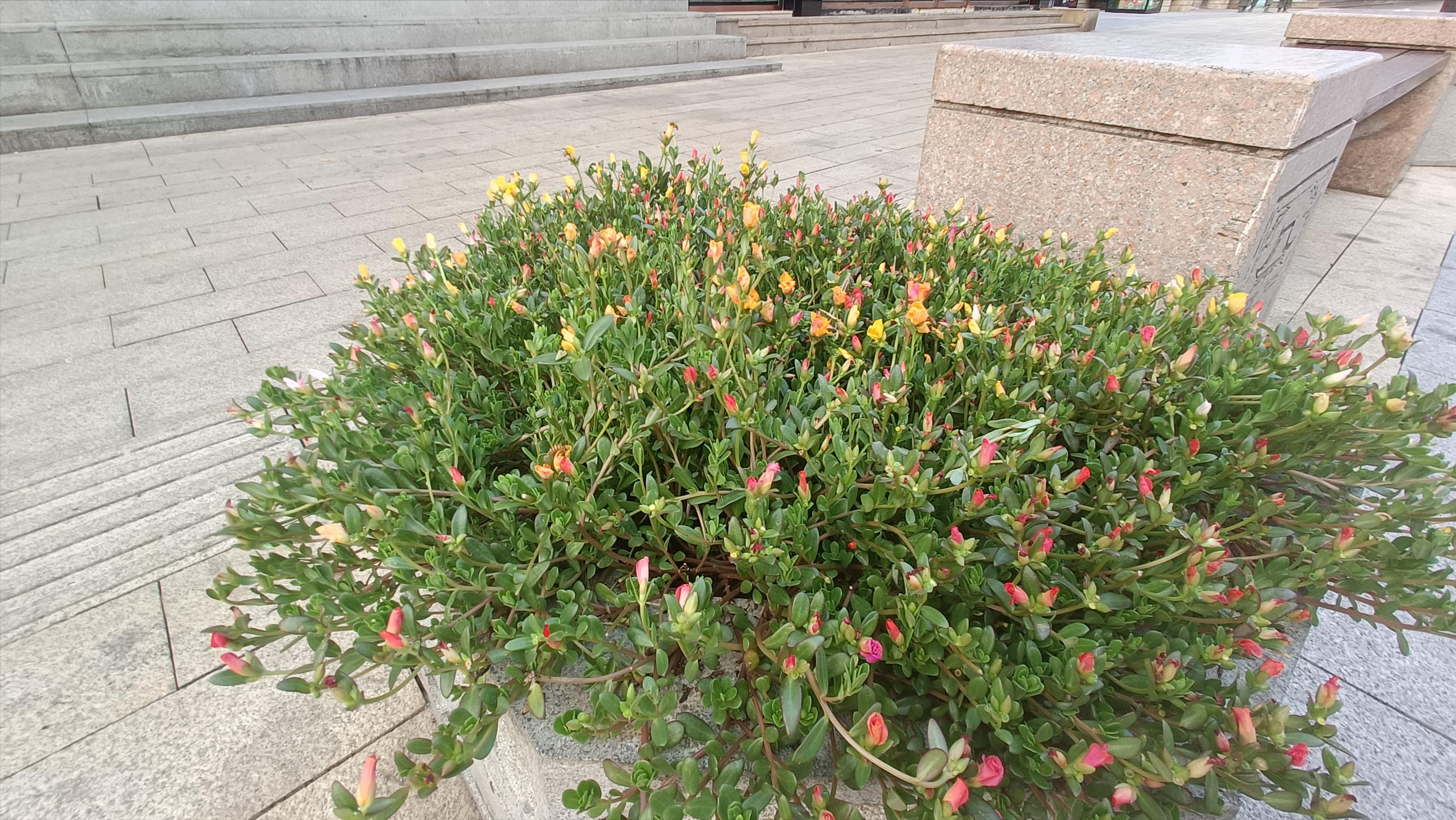 最新苏州观前街白天视频,苏州观前街晚上必去的夜景