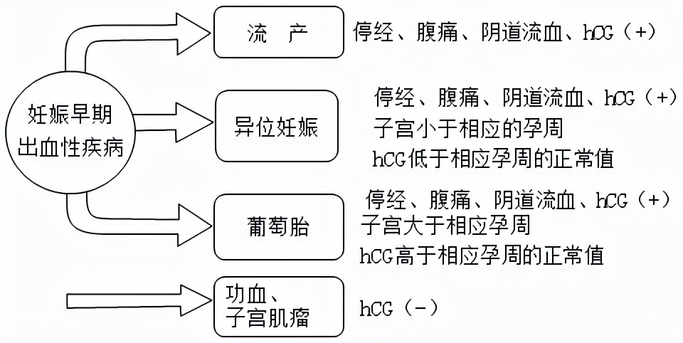 备孕流产症状有哪些,流产了几次备孕需要注意什么