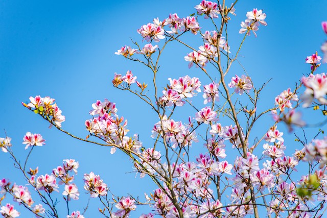 工作仅仅是工作而已没必要内耗,工作已经挺累了就不要互相内耗