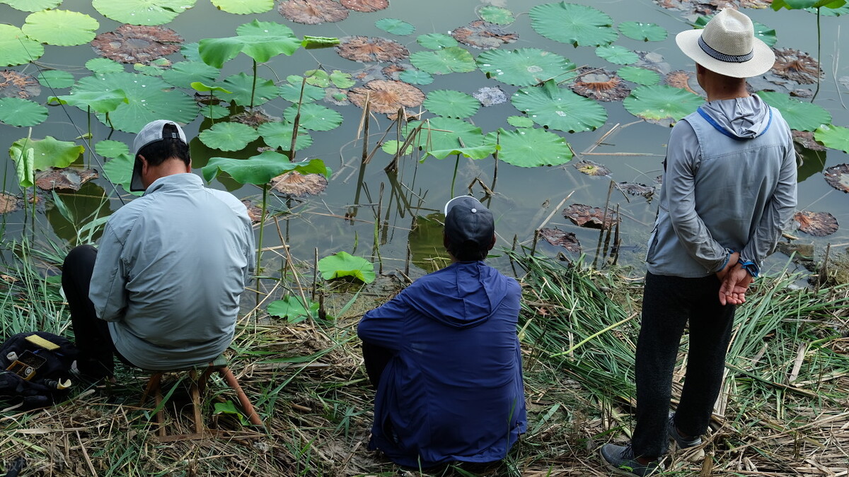单钩粗尾调漂教程,粗尾漂钓鲤鱼调漂