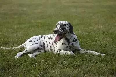 有关于克罗地亚的地理冷知识,克罗地亚是个怎样的国家