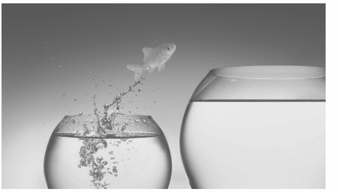 供应链管理专家讲解,供应链管理实践者的专家之路