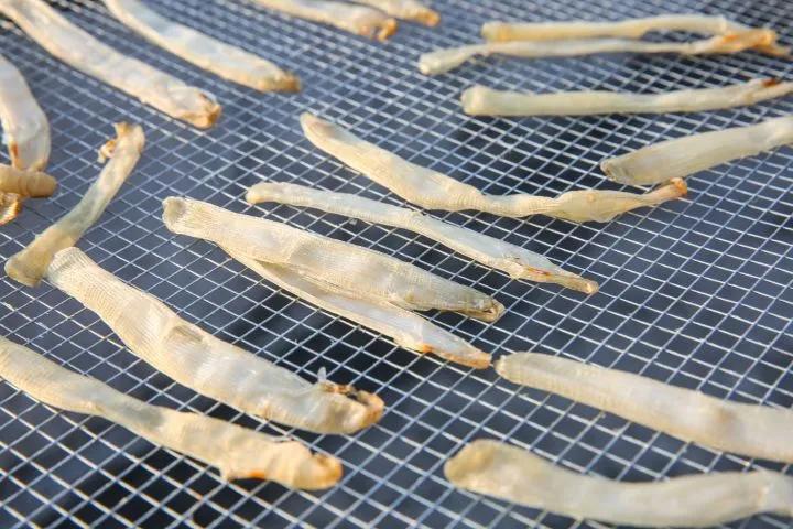 《沙丘》在读者心中留下最深刻印痕的当属气吞山河的沙漠怪物沙虫