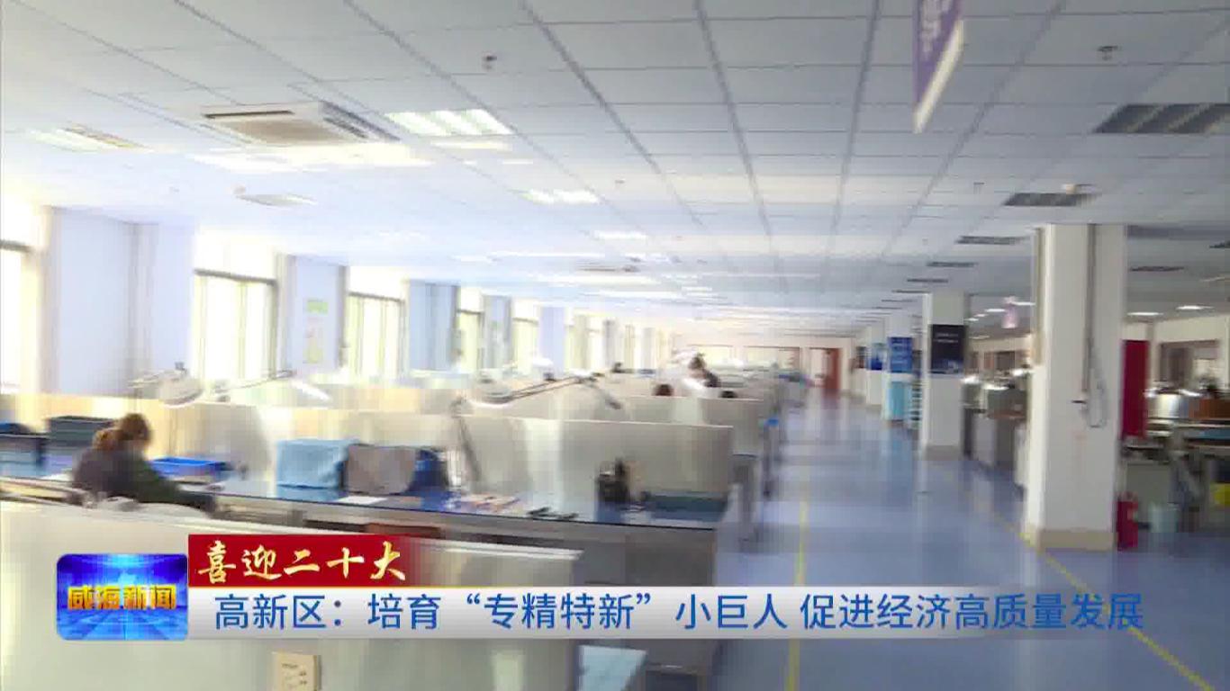 专精特新小巨人崛起,专精特新小巨人高新技术企业