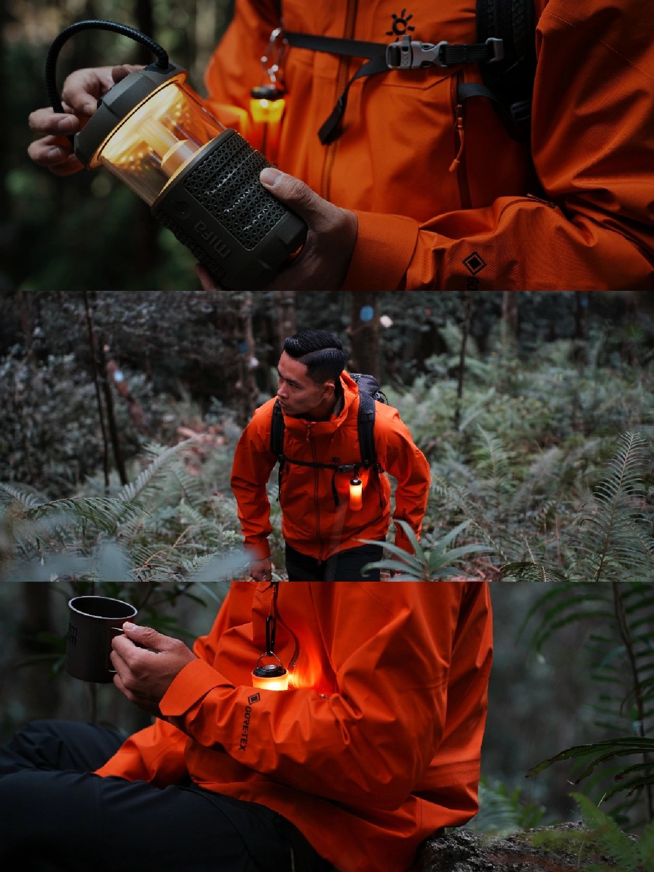 厦门森林公园免费景点,厦门森林旅游