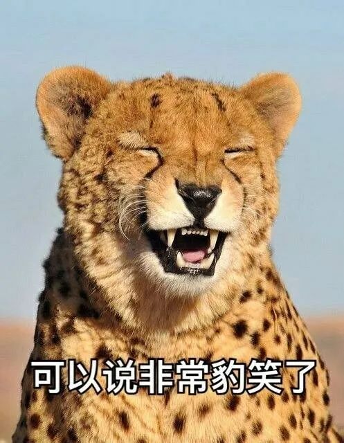 一起露营吧2陈伟霆和小咖录节目,一起露营吧第二季陈伟霆聊飞机