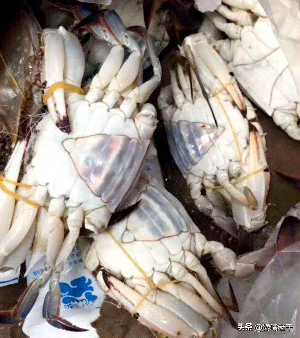 挑选螃蟹的秘籍大家学起来,买螃蟹的时候怎么挑肉和蟹黄多的