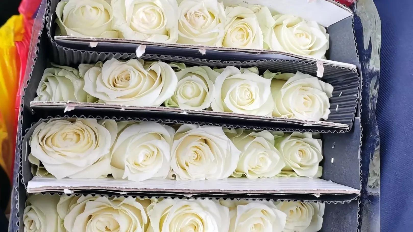 七彩云南之春城昆明,七彩云南四季春城