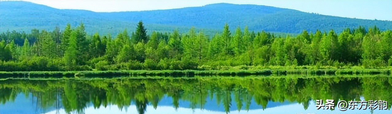 农村种植果树能赚钱吗,农村种植草坪怎么赚钱