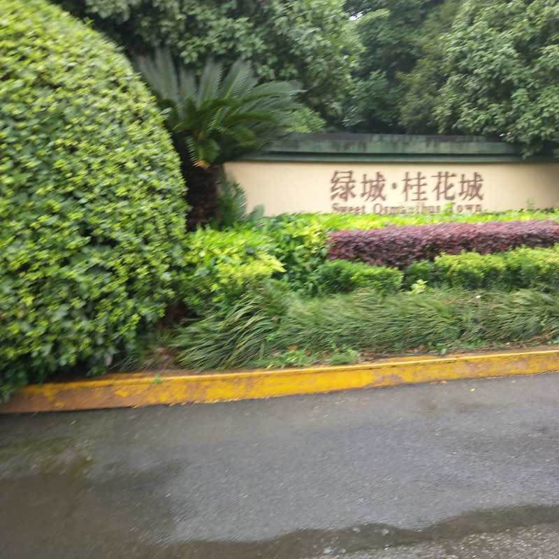 长沙恒大城法拍房,长沙绿城桂花城二手房买房忠告