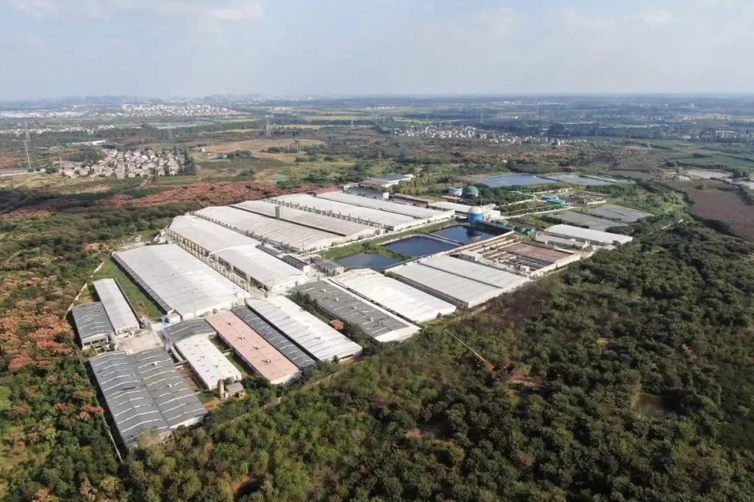 胡广杰新闻发布会,江苏省胡广杰新闻