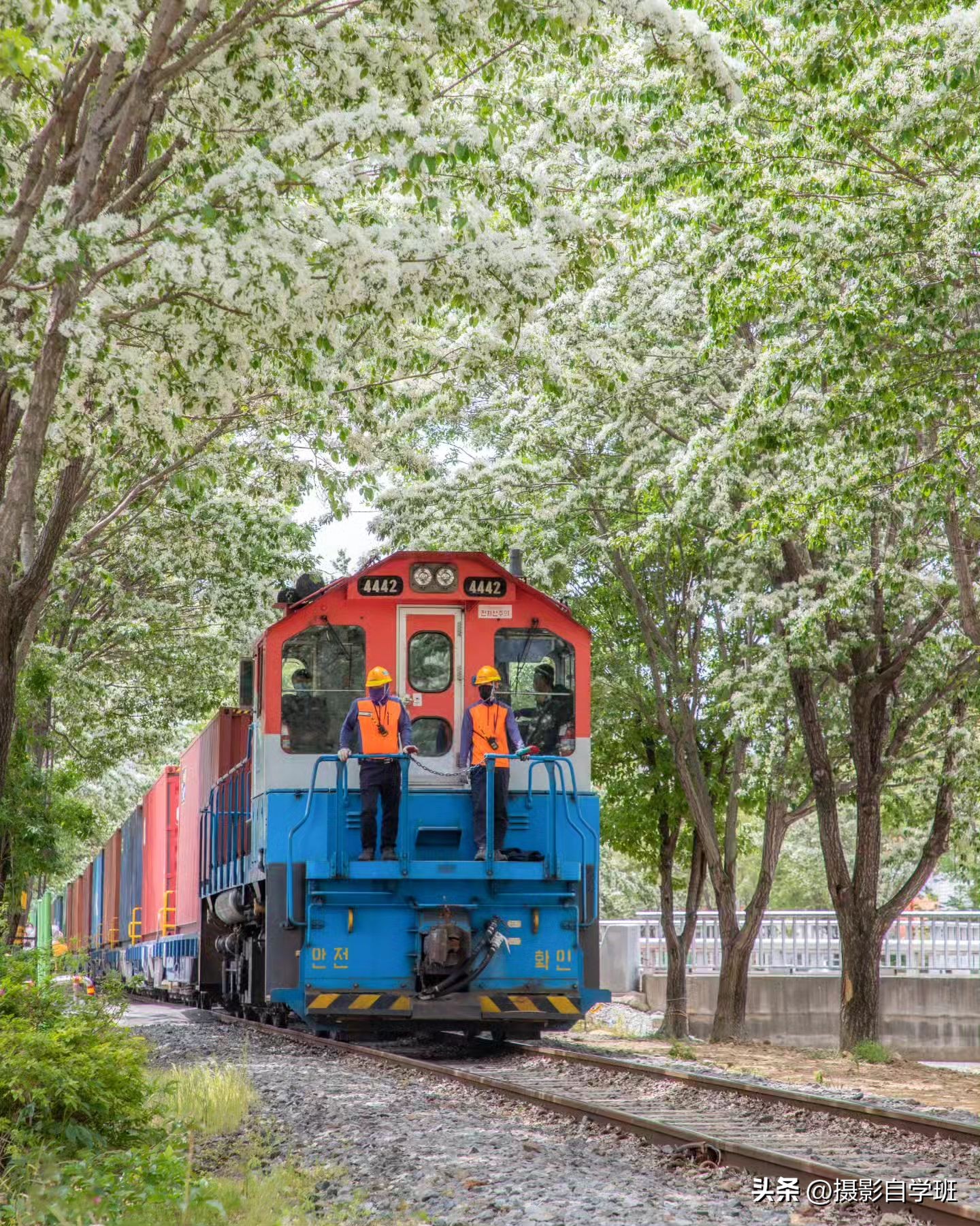 夏天怎么拍照更有夏天感觉,如何拍好夏天的照片