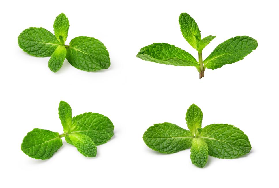 单纯的吞刀片嗓子疼是什么原因,嗓子疼的像吞刀子有啥妙招