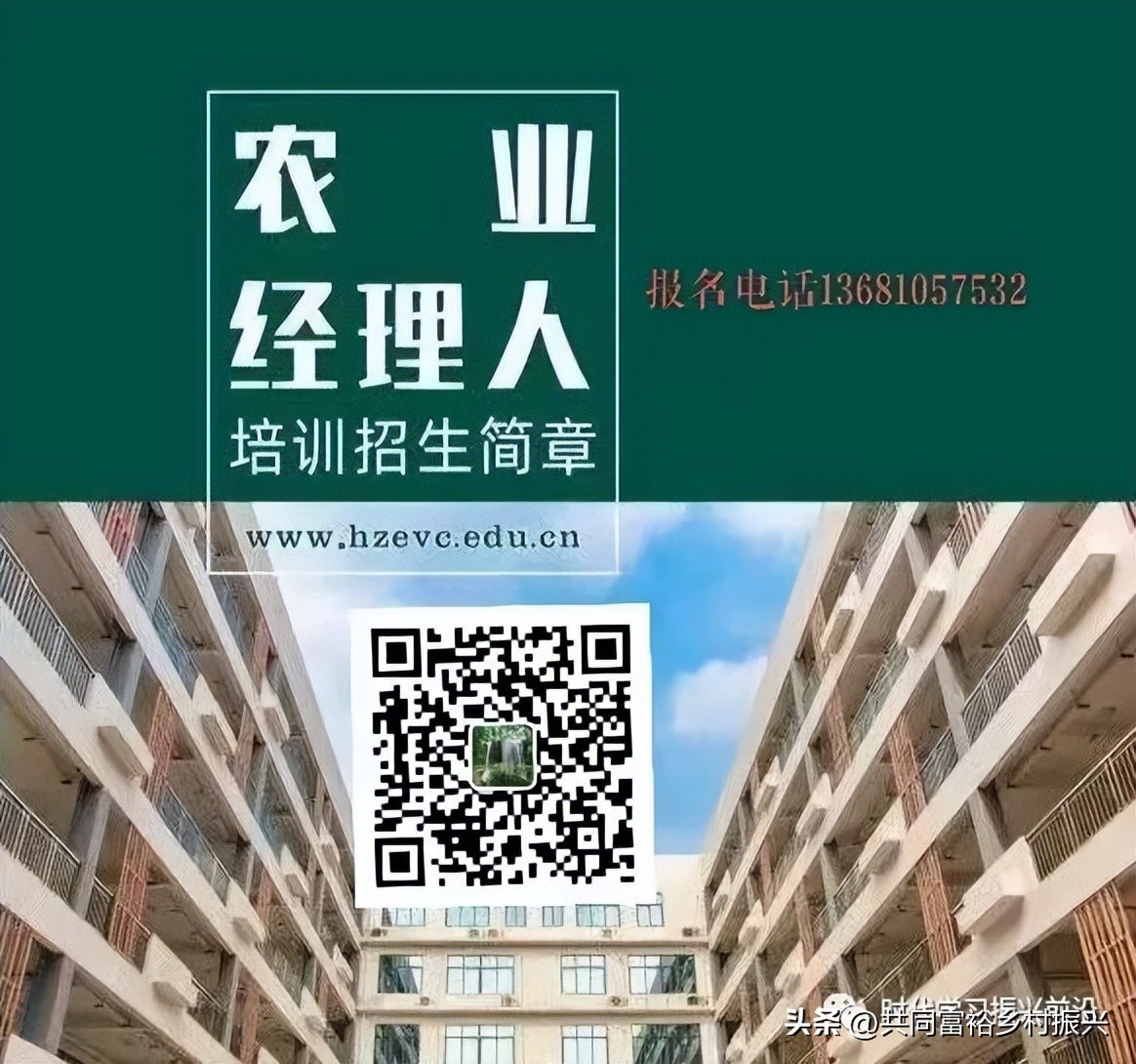 乡村振兴项目贷款及补贴政策,乡村振兴政策应知应会的知识