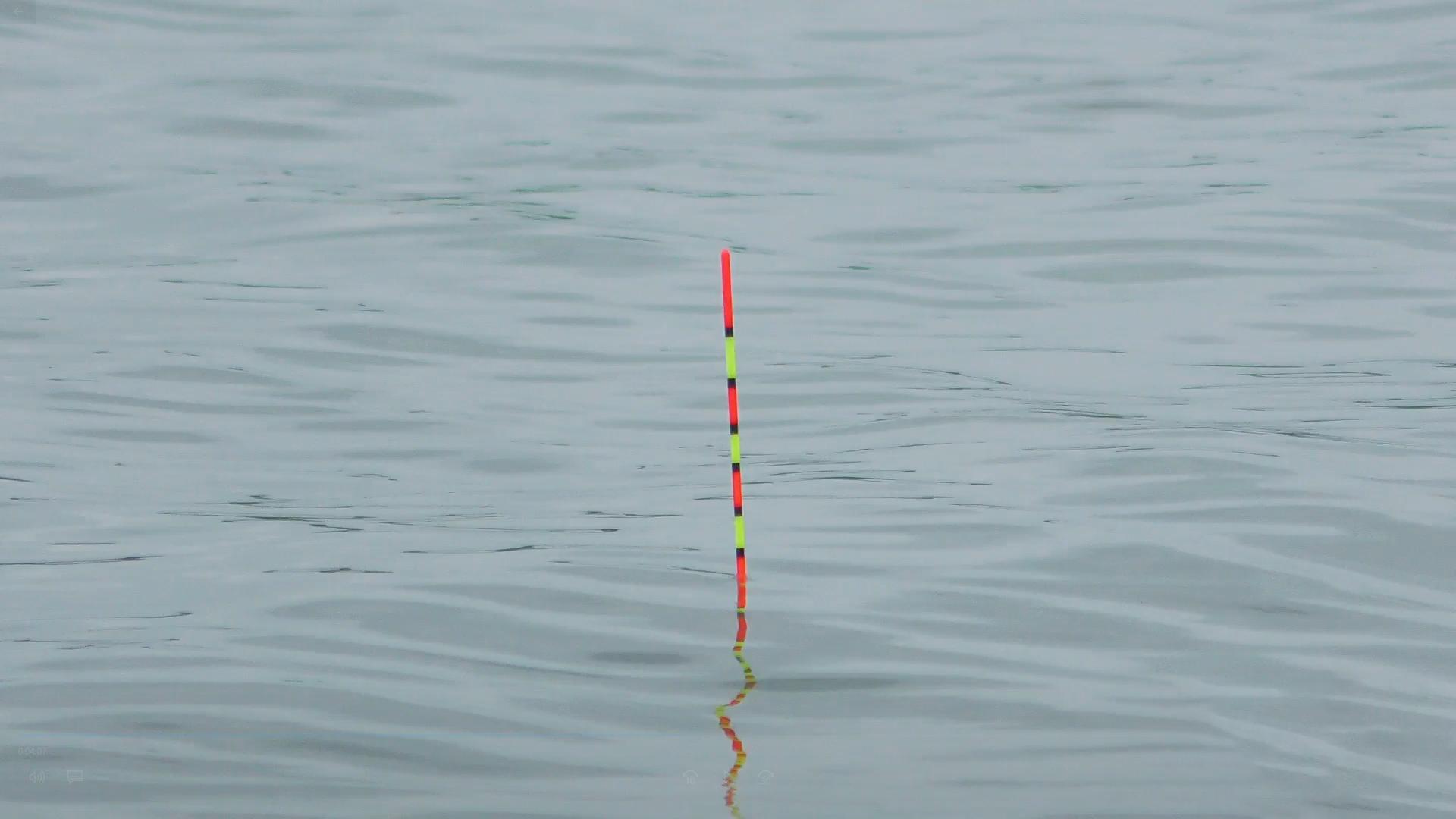 鲫鱼为什么要钓钝点,冬季为啥鲫鱼越钓越小