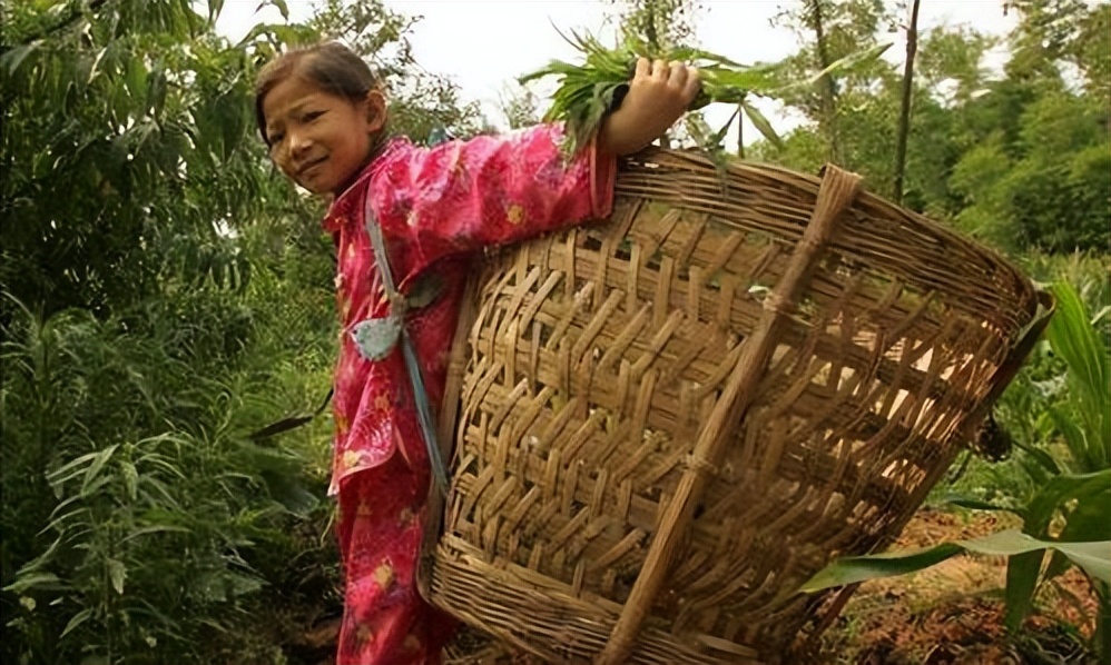十三岁女孩白血病放弃治疗,患白血病女孩想放弃治疗