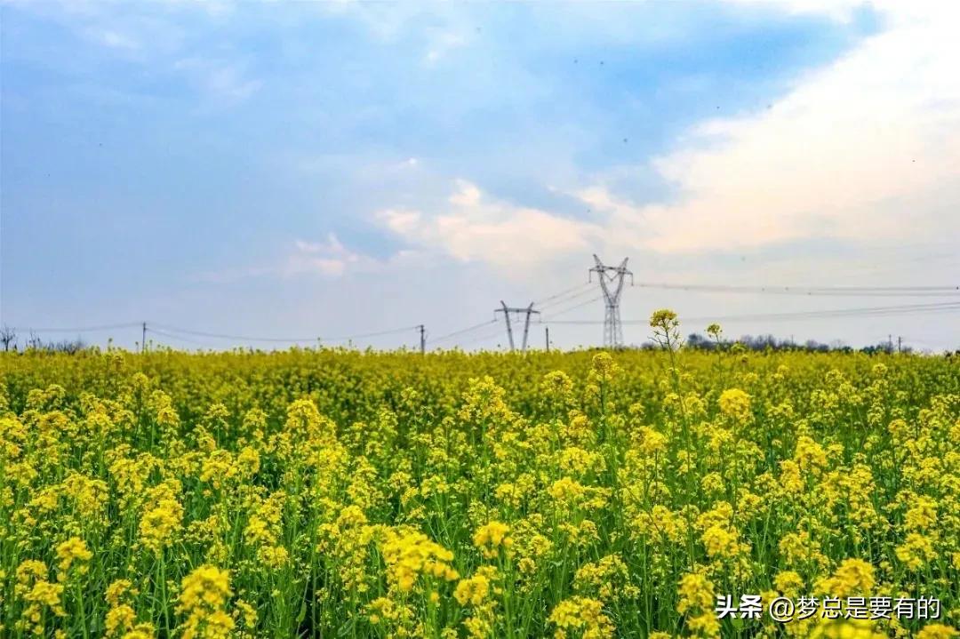 孩子吸烟怎么办视频,孩子抽烟厉害怎么办