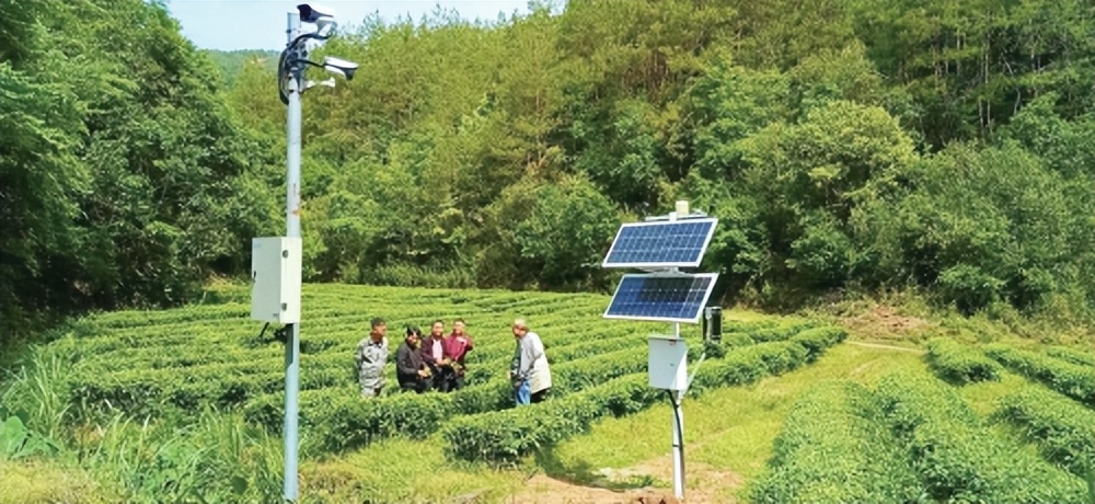 涓浗绉诲姩5g鏅烘収涔℃潙,涓浗绉诲姩5g鏁板瓧涔℃潙