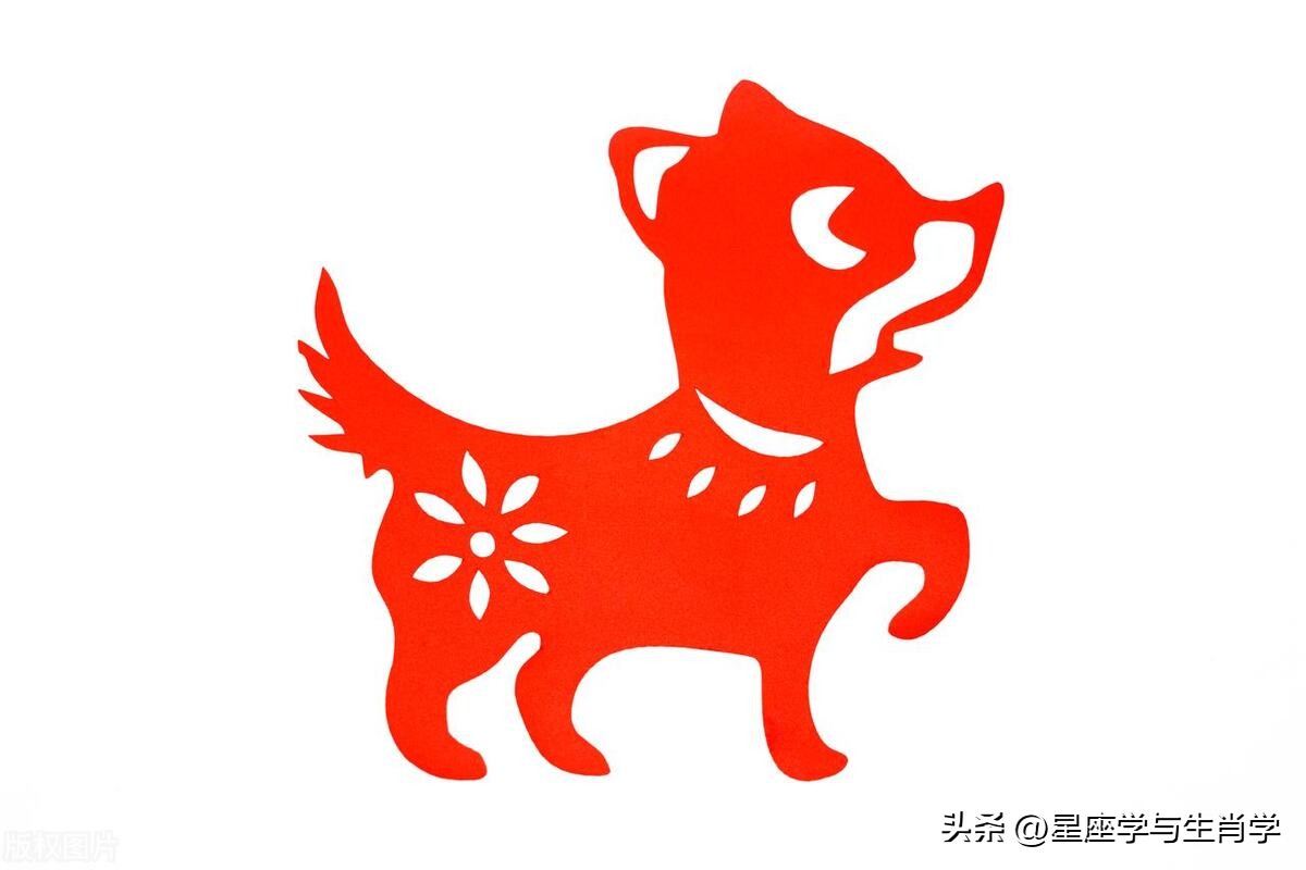 今年七月份生肖狗运势如何,七月份生肖狗财运怎么样