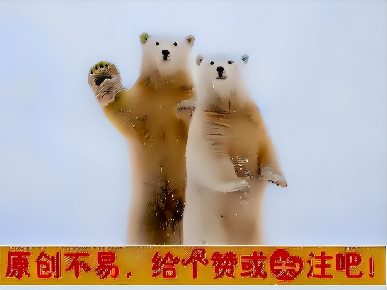 莫斯科回中国的机票涨价,去莫斯科的机票为什么贵