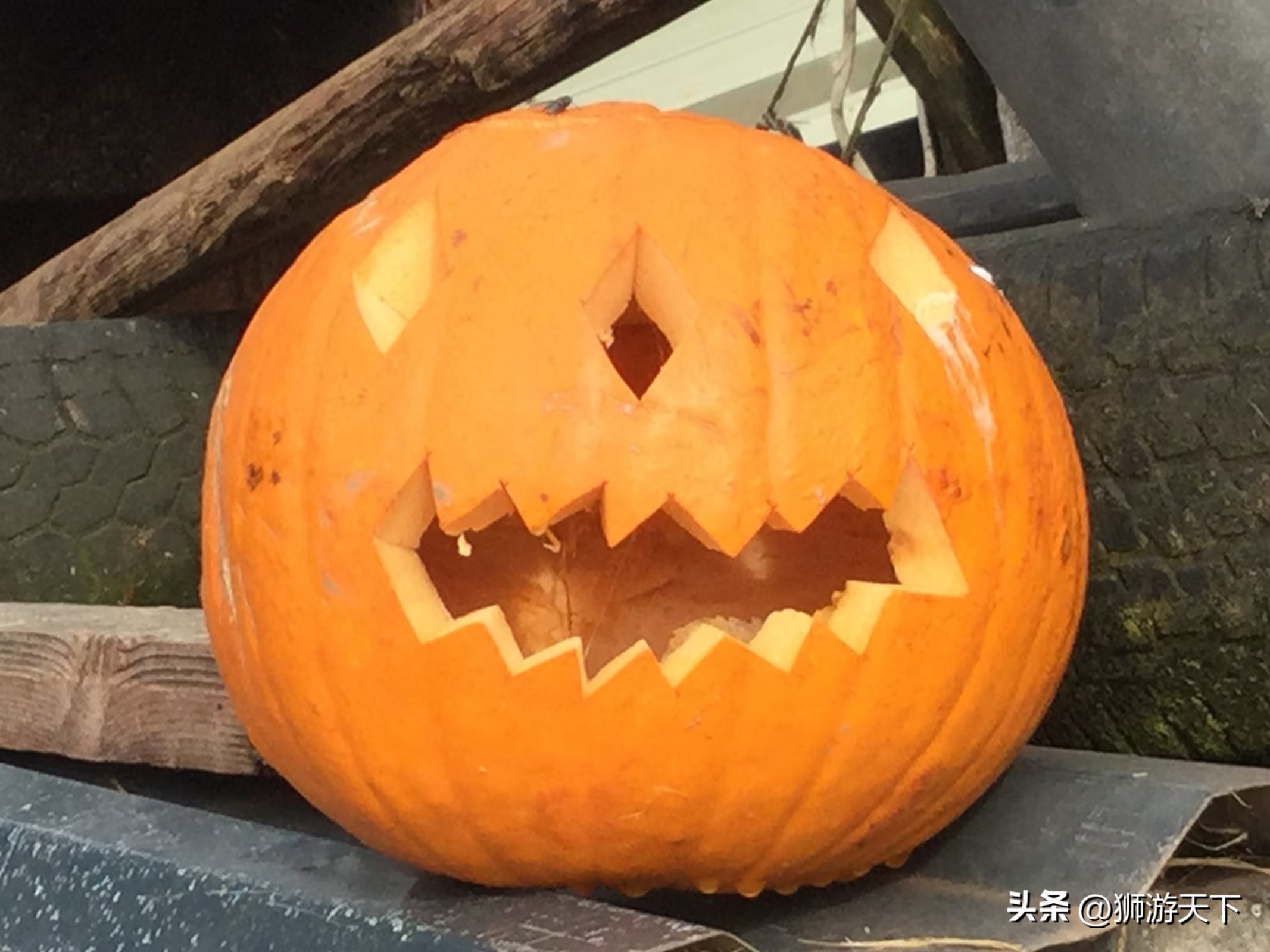 英国陪读活动,英国陪读的日常