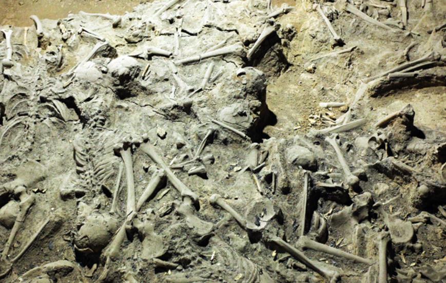 秦国名将白起视频完整版,秦朝大将白起的残暴