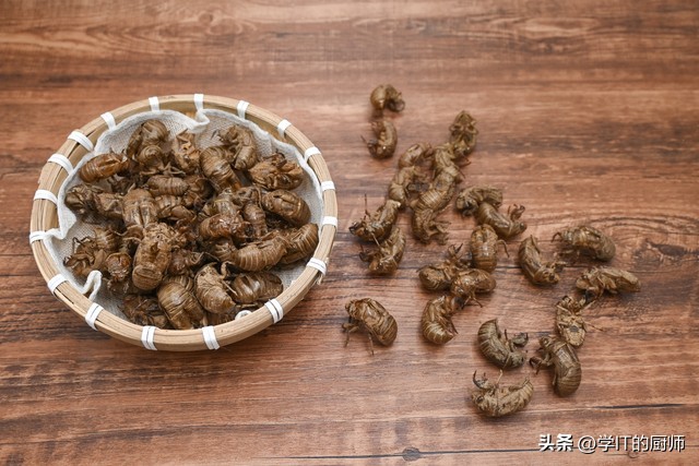 知了猴养殖前景,大棚养殖知了猴怎么样