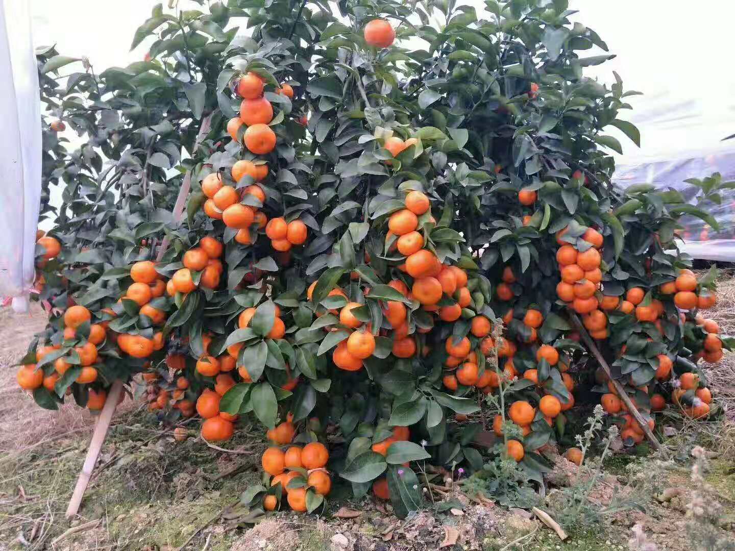 行业不景气怎么办,行业不景气如何创业