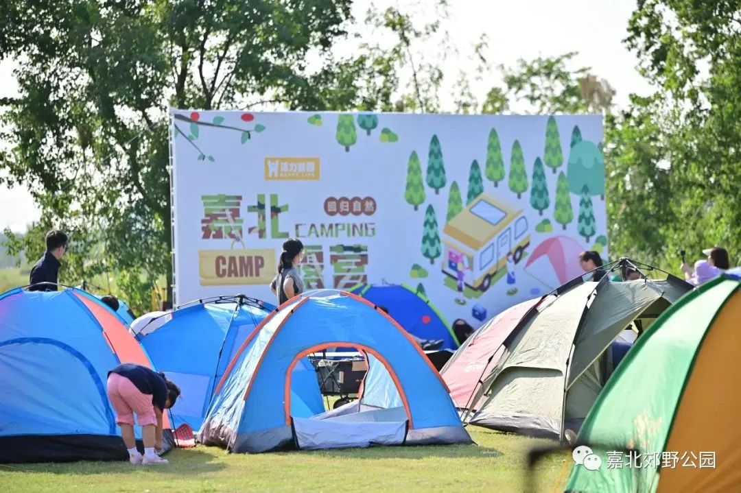 绚烂花海,绚烂花海现在还有吗