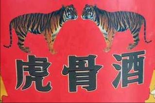 喝老虎酒有什么功效,老虎的骨头对人体有害吗