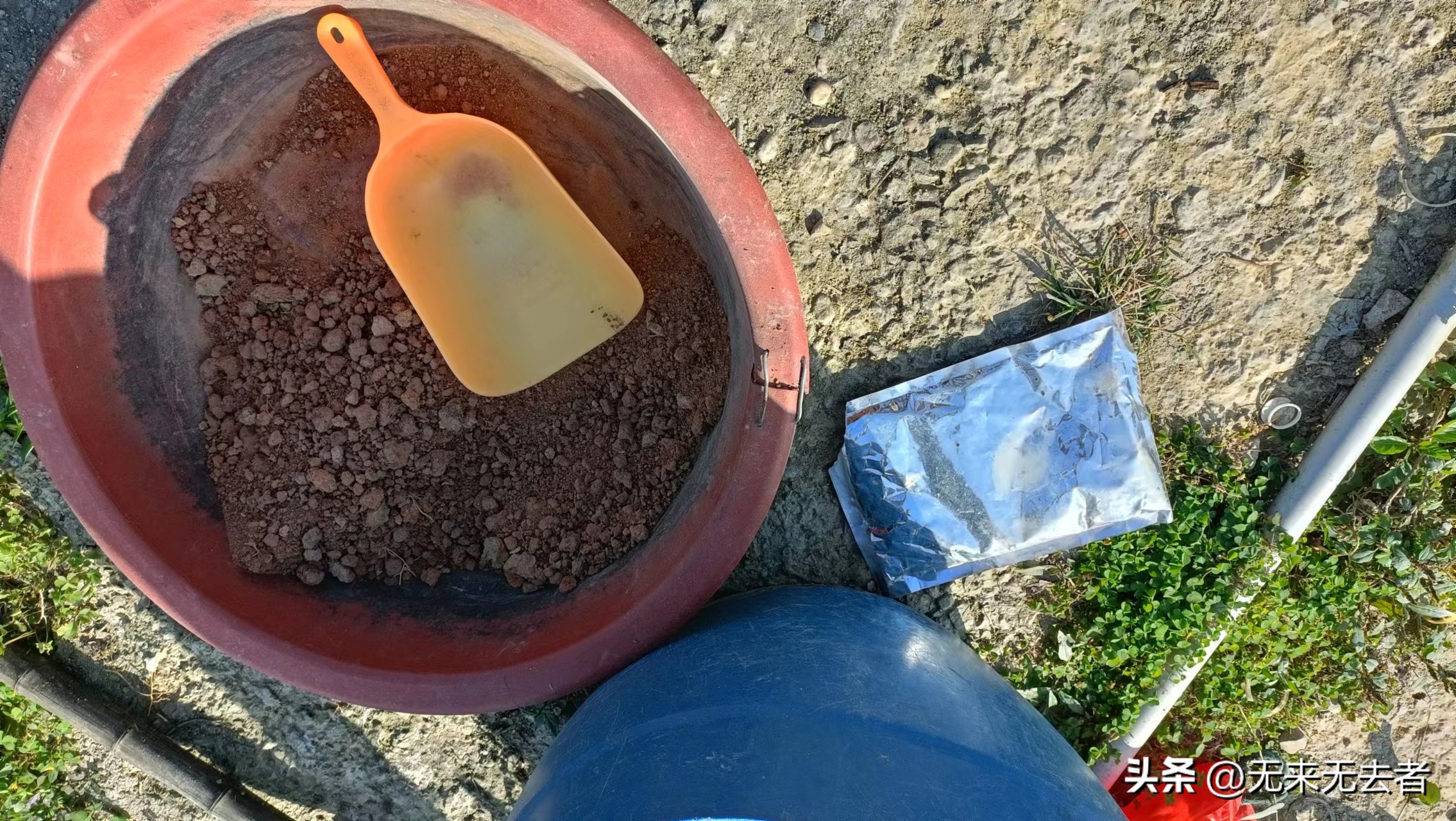 养南美白对虾一亩收益,南美白对虾60-70天快速养殖