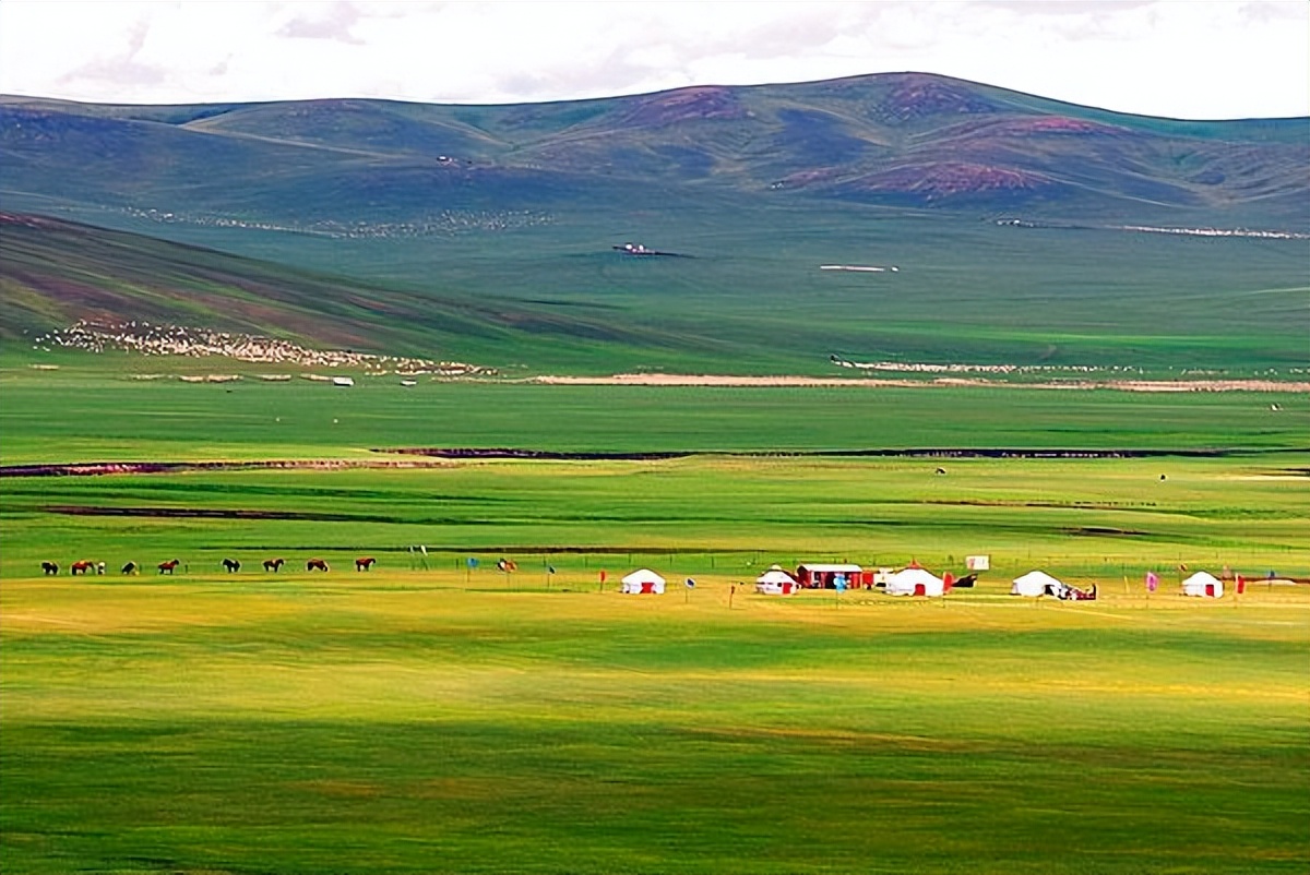 三聚氰胺奶粉事件始末是什么,当年奶粉为什么要加三聚氰胺