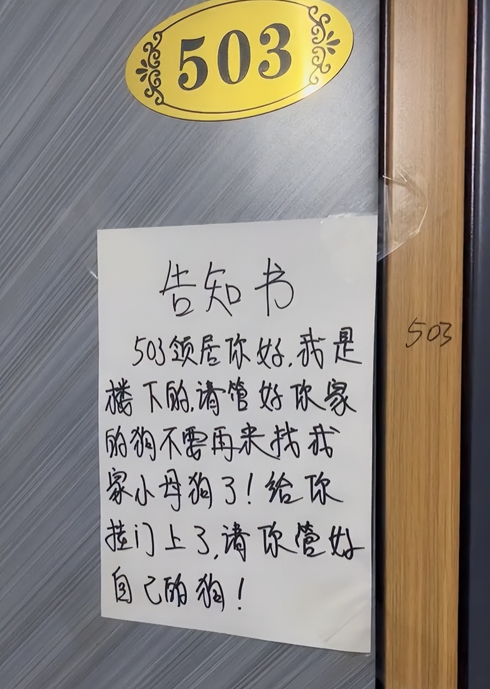 小姐姐和邻居小狗发展迅速，几天后竟然都“滚床单”啦~