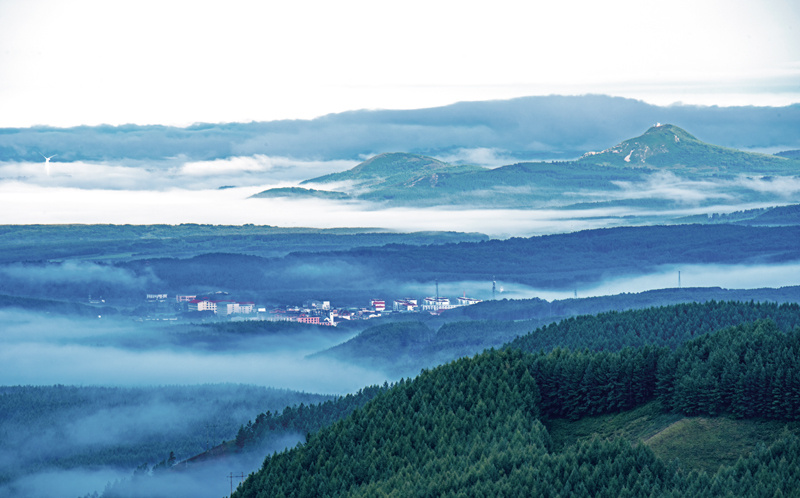 非凡十年林草建设的完美答卷