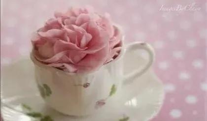 散文宽容配乐,散文宽容