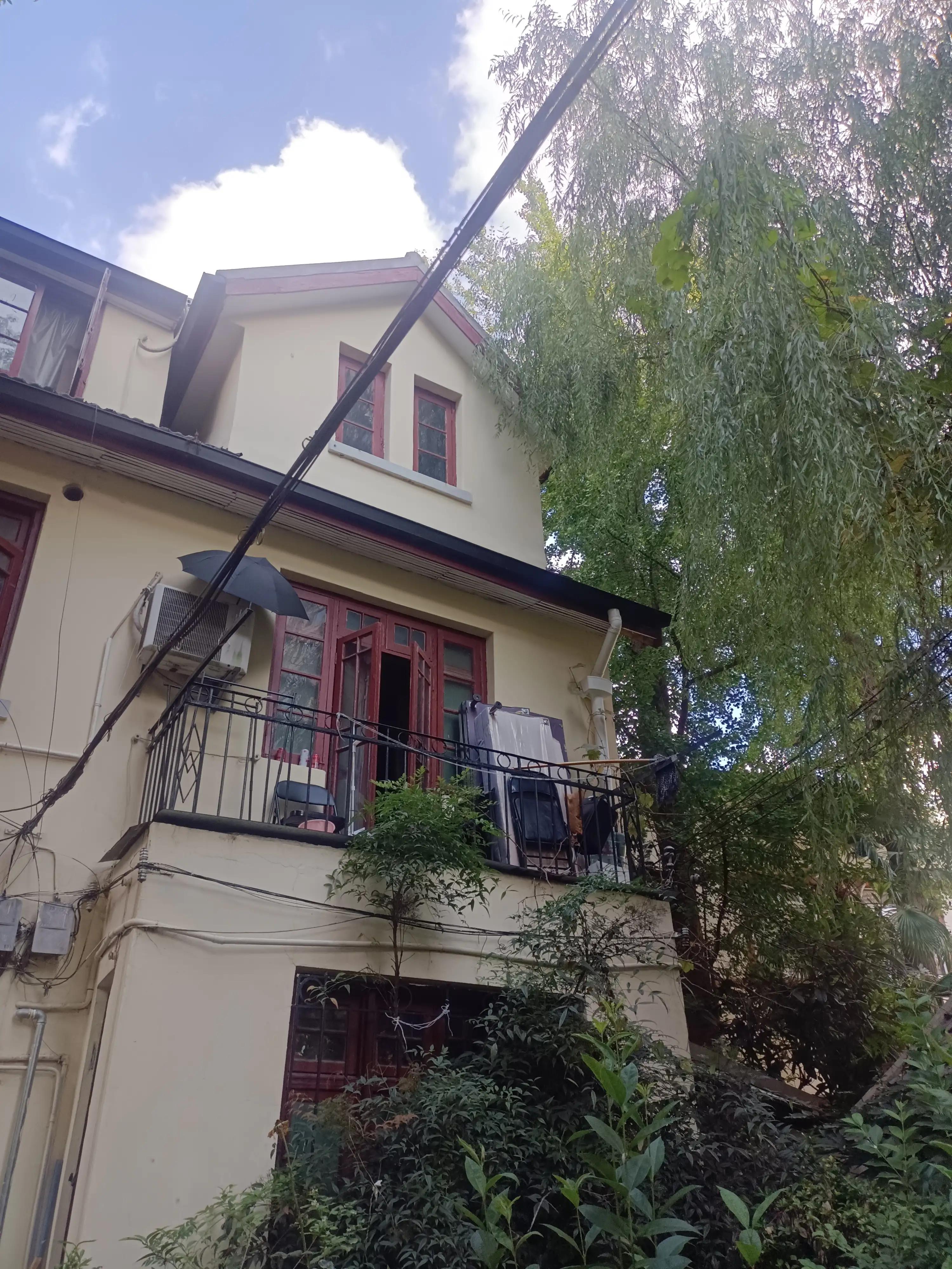 胡适三妻四妾,胡适两位夫人