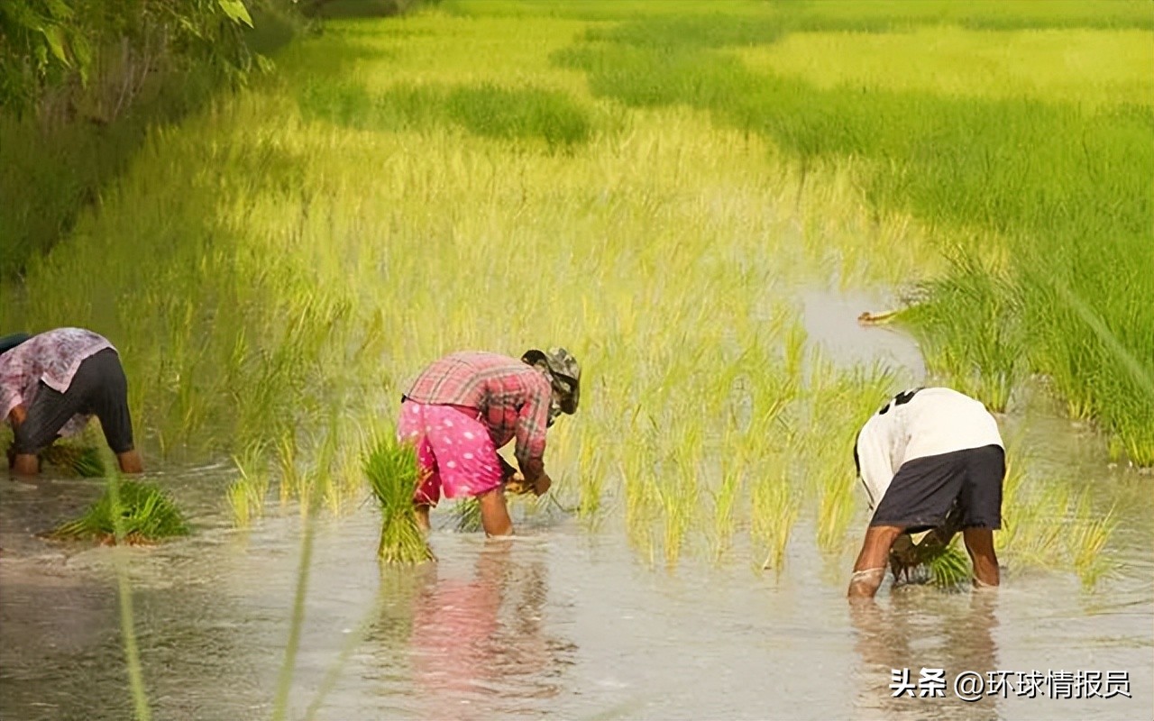 中国和泰国并不接壤，中国傣族、泰国泰族是否是同一个民族？