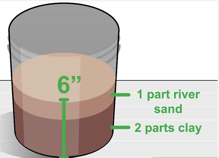 怎么种植莲花盆栽,如何种植莲花芋头