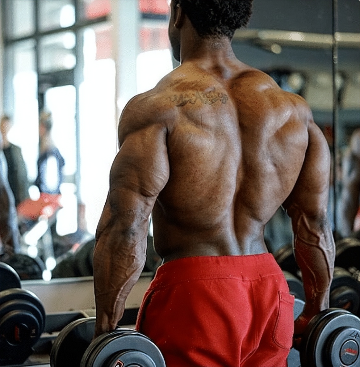 黑天鹅安斯利个人展示,黑天鹅安斯利肩部动作