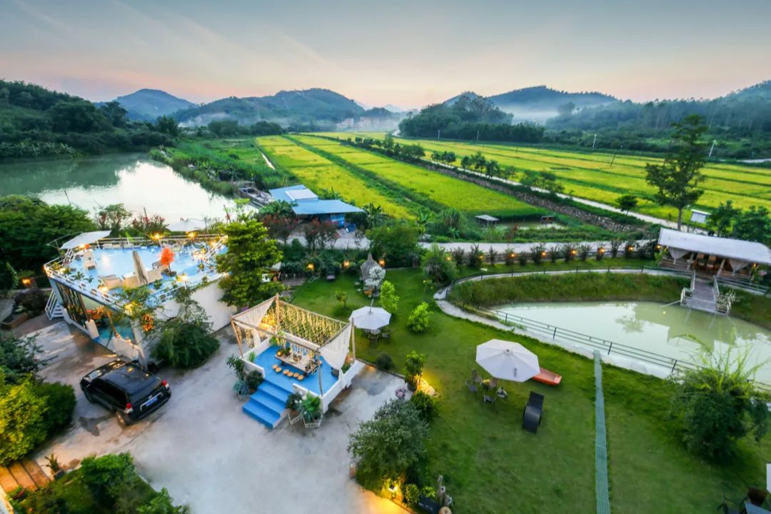 藏在广州竹林山野间的网红民宿,增城宛若故里稻田民宿