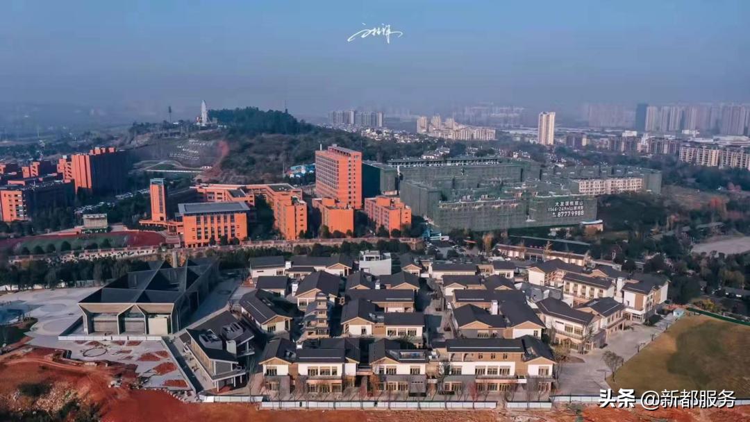 新都是靠什么产业发达的,新都做什么好