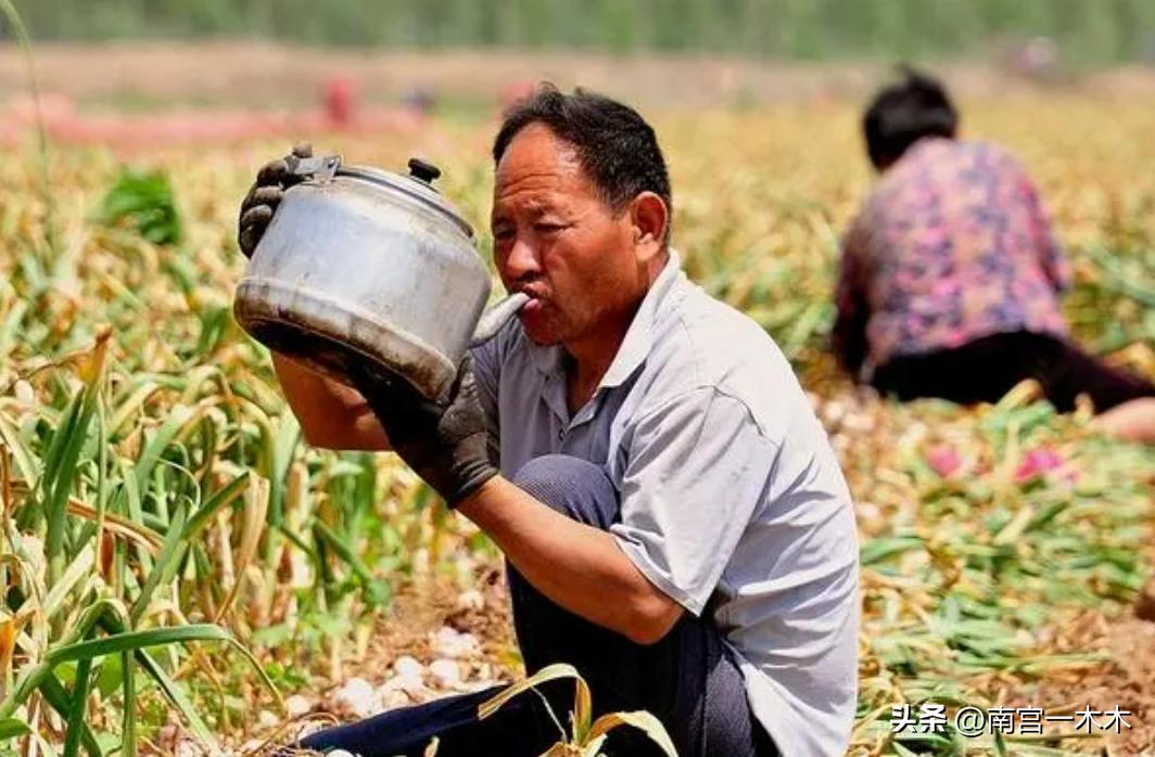 日本人租山东1500亩地赚钱了吗,日本人在山东租地1500亩闲置5年