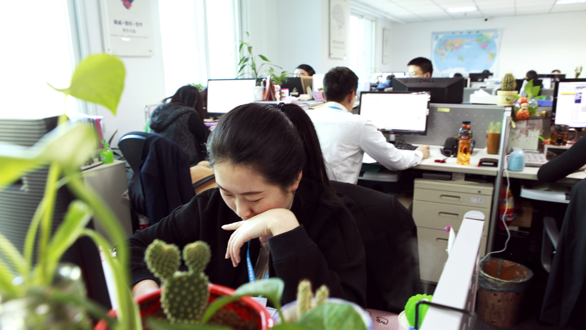 芳菲如茵，锦程似玉——专访大连锦程国际物流有限公司总经理吴菲